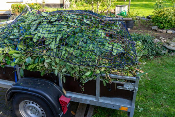 Best Carpet Removal and Disposal  in Pittsfield, MA